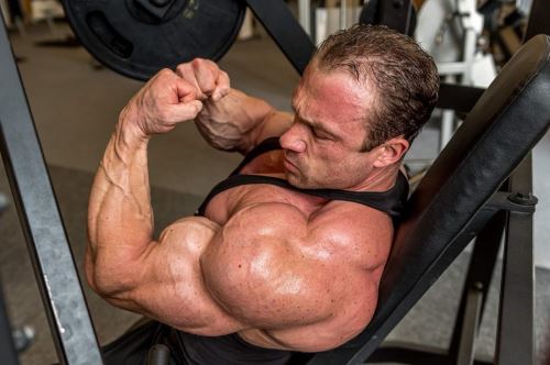 Tělesná dysmorfie fitness populace